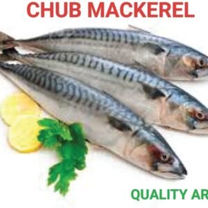 Chub Mackerel