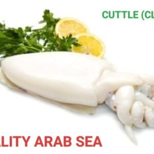 Cuttle Clean