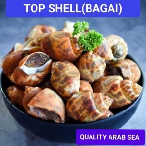 Top Shell Bagai