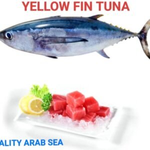 Yellow Fin Tuna